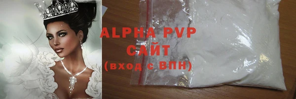 прущие грибы Кулебаки