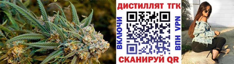 ТГК Wax  Купить  Кашин 